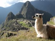 Peru Viagens - Agência de Viagens. Sua Operador de Turismo no Perú - Encontre Pacotes Turisticos  Hotéis e Passagens Aéreas, Viaje com Segurança para qualquer destino.