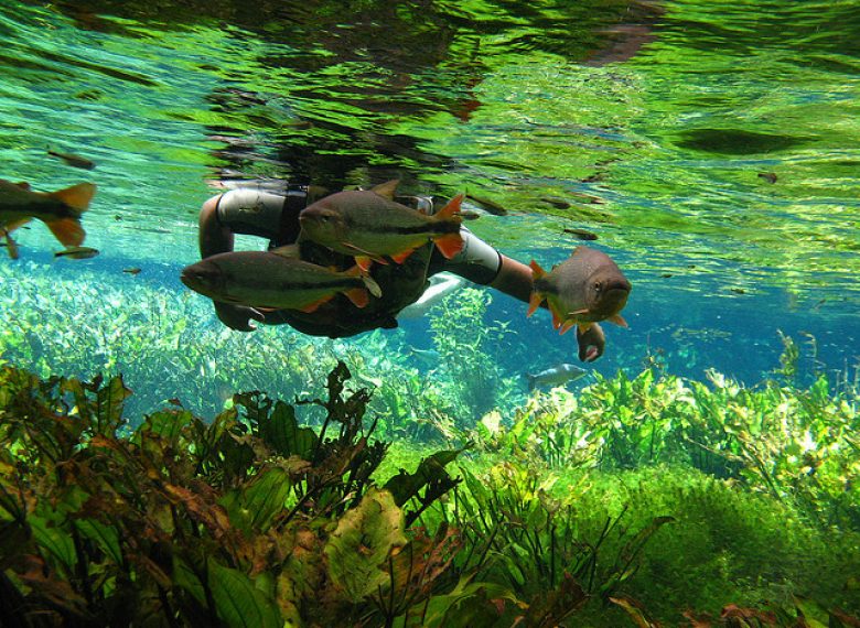 Peru Viagens - Agência de Viagens. Sua Operador de Turismo no Perú - Encontre Pacotes Turisticos  Hotéis e Passagens Aéreas, Viaje com Segurança para qualquer destino.