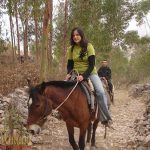 Peru Viagens - Agência de Viagens. Sua Operador de Turismo no Perú - Encontre Pacotes Turisticos  Hotéis e Passagens Aéreas, Viaje com Segurança para qualquer destino.