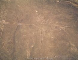 Peru Viagens - Agência de Viagens. Sua Operador de Turismo no Perú - Encontre Pacotes Turisticos  Hotéis e Passagens Aéreas, Viaje com Segurança para qualquer destino.