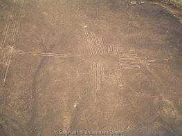 Peru Viagens - Agência de Viagens. Sua Operador de Turismo no Perú - Encontre Pacotes Turisticos  Hotéis e Passagens Aéreas, Viaje com Segurança para qualquer destino.